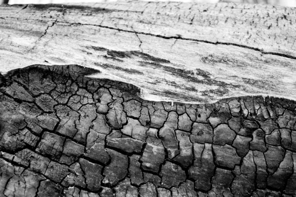 Holzstruktur — Stockfoto