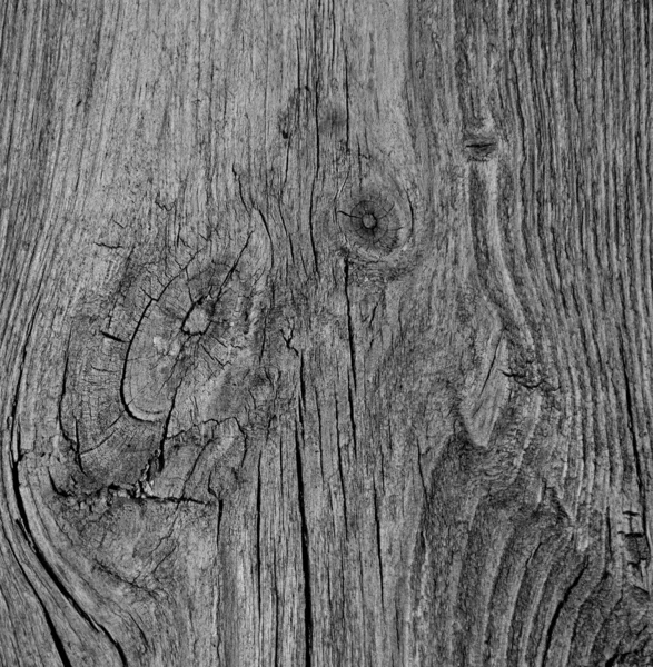 Wood texture — Stock Photo, Image