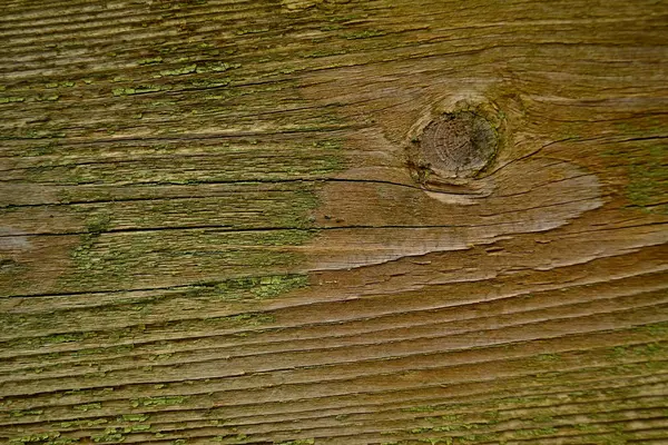 Holzstruktur — Stockfoto