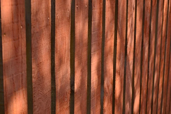 Textura de madeira — Fotografia de Stock