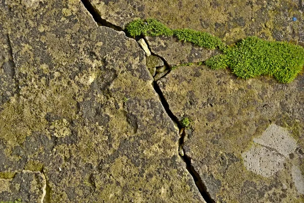 Textury povrchů pevných stavebních — Stock fotografie