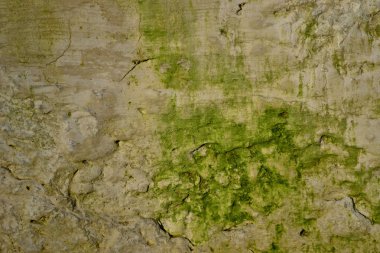 arka plan doku duvar