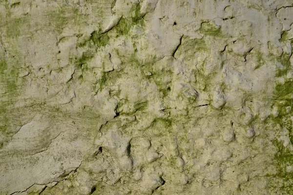 Textura de pared como fondo — Foto de Stock