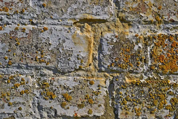 Backsteinmauer Hintergrund — Stockfoto