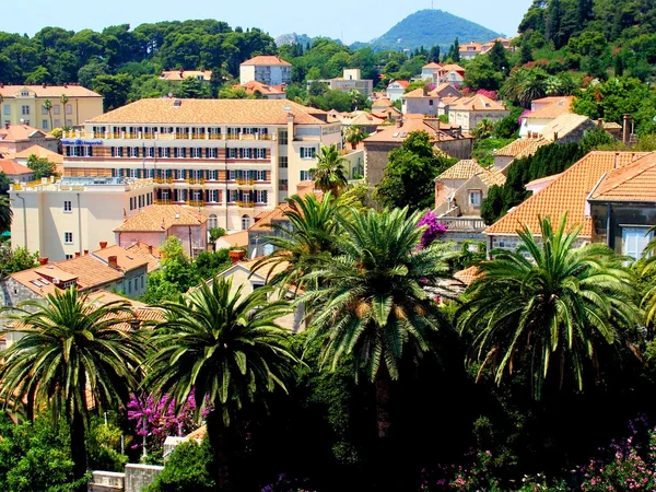 Nya staden i dubrovnik, Kroatien — Stockfoto