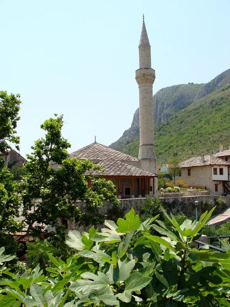 Bahçe sisleri içinde küçük Camii