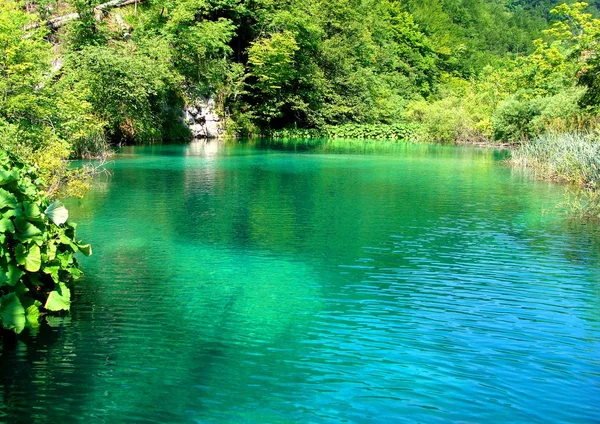 Plitvice, güzellik mucizesi Stok Fotoğraf