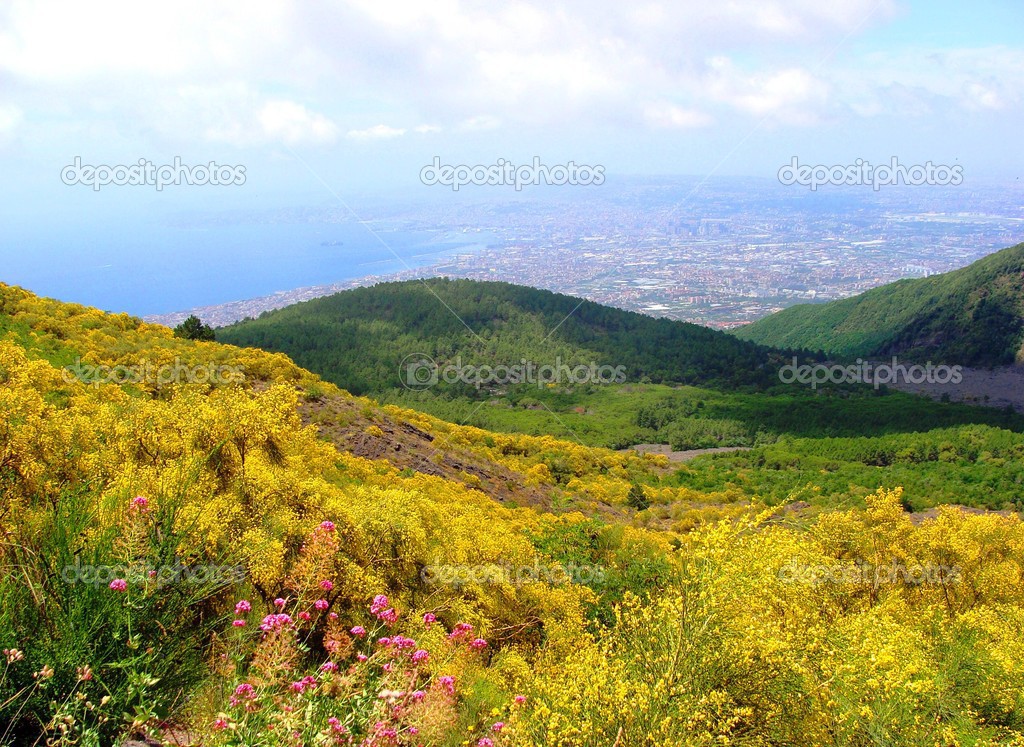 View of Naples from Slope of Vesuvius