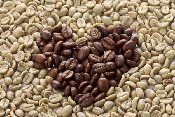 Grains de café — Photo