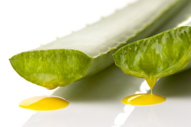 Aloe.