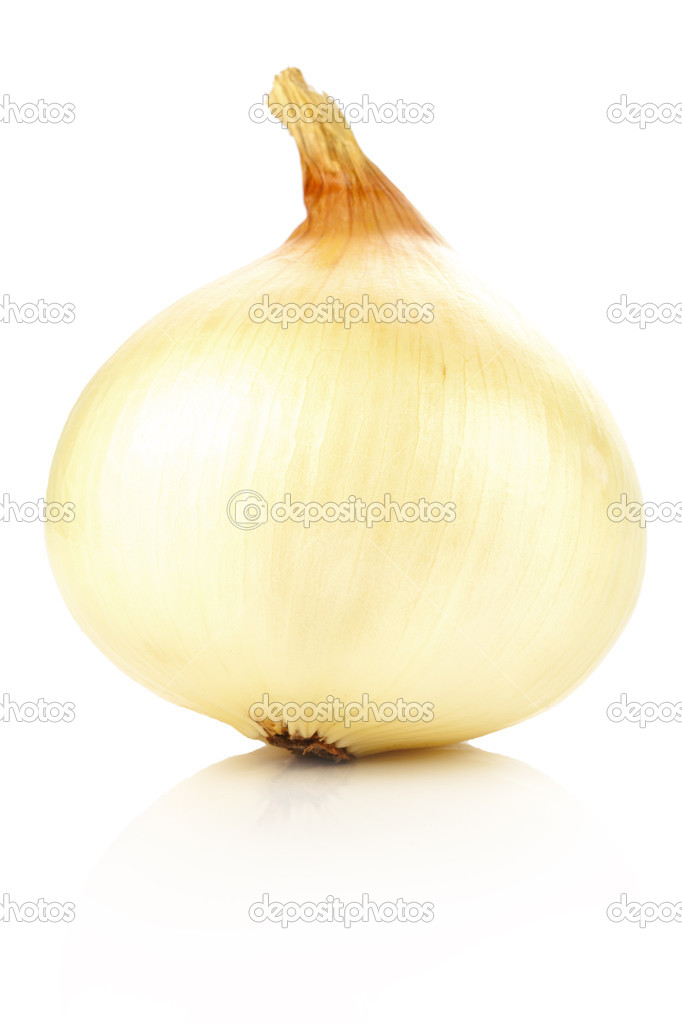 在白色背景上的一个大型成熟洋葱– 图库图片