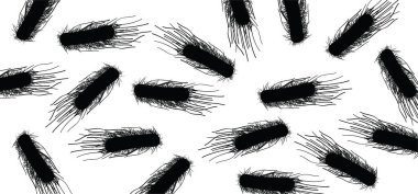 Salmonella salgını hayvanların bağırsaklarında yaşayabilen bir bakteridir. Bakteriyel hücre enfeksiyonu ikonu ya da ortakyaşam. Belirtiler, mide bulantısı ve gıda zehirlenmesi. Kıllı virüs 