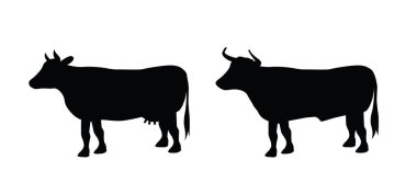 Cartoon drawing black cow and taurus or bull. Vector cow silhouette. farm animals. Cattle icon or pictogram. livestock