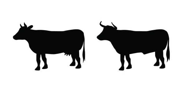 Cartoon Drawing Black Cow Taurus Bull Vector Cow Silhouette Farm — Stock Vector