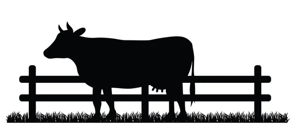 Cartoon Drawing Black Cow Taurus Bull Vector Cow Silhouette Farm — Stock Vector