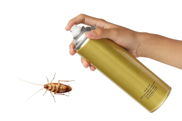 Cockroach spray with spray cans isolated over white background — Stock Photo, Image