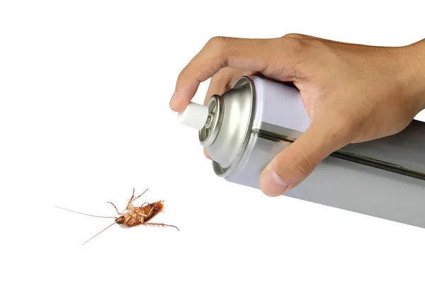 Spray de cucaracha con latas de spray sobre fondo blanco — Foto de Stock