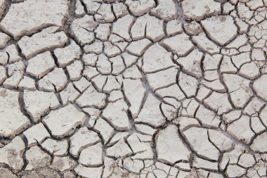 toprak dokusunu çatlamak