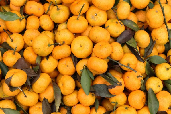 Massor av mandariner, till salu på ett marknadsstånd i thailand. — Stockfoto