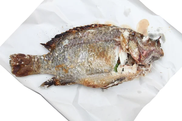 Grilled Foods - ikan panggang di atas kertas putih — Stok Foto
