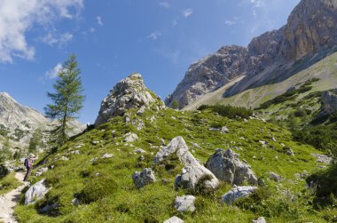 dağlarda