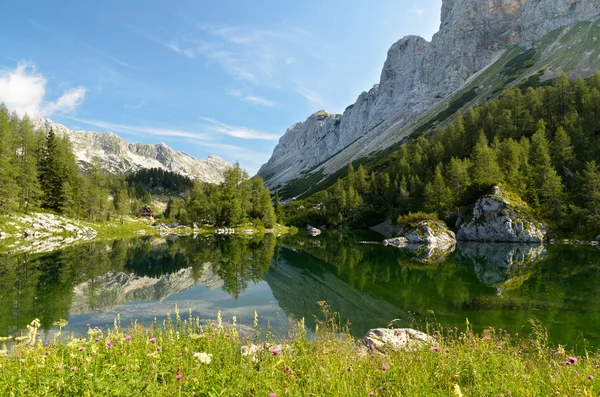 Triglav 호수 스톡 사진