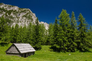 Shepherd'ın kulübe
