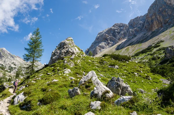 Voor geheugen — Stockfoto