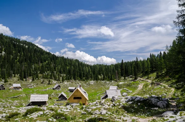 Berg dedno polje — Stockfoto