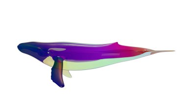 Balina çizimi, şeffaf arkaplanı olan heykel