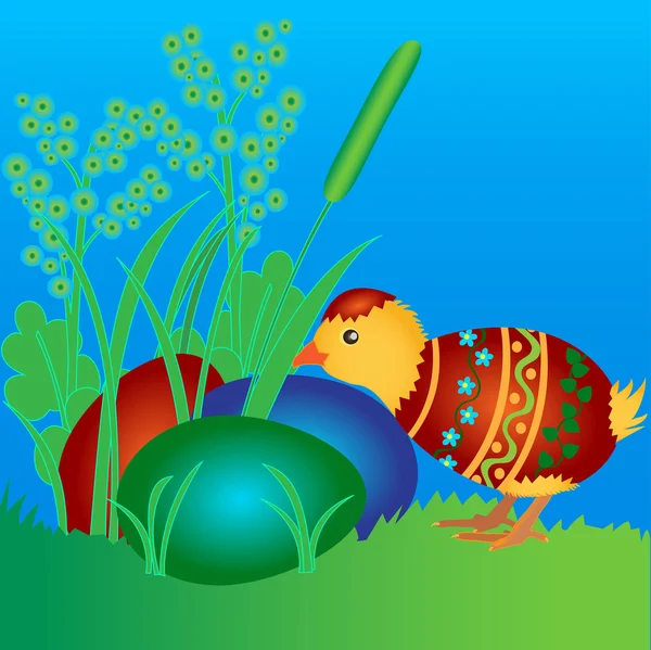 bir renkli ester yumurta tavuk