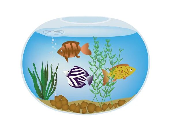 Fishbowl com peixes exóticos coloridos e algas marinhas — Vetor de Stock