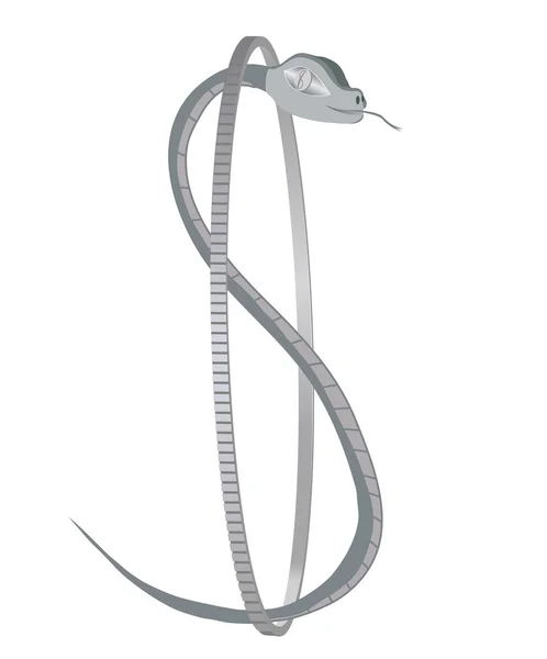 bir gümüş dolar yılanla gümüş sikke