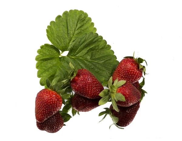 Frische rote reife Erdbeeren — Stockfoto