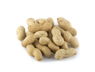 kurutulmuş portre fıstık