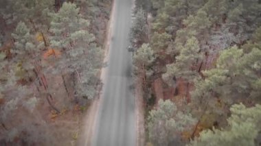 Bisikletçi triatloncu bireysel zaman deneme bisiklet yarışına katılıyor. Triatlon