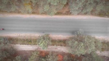 Ormanda bisiklet süren bir bisikletçi. Triatlon ve bisiklet