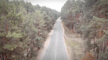 Spor konsepti. Boş araba yolunda bisiklet üzerinde profesyonel bisikletçi eğitimi.