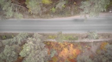 Bisikletçi bisikletle kask takıyor. Ormanda bisiklet sürmek. Bisiklet yarışı için triatlet eğitimi