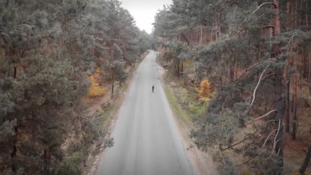 Pengendara sepeda bersepeda di jalan mobil di hutan. Triathlon dengan sepeda motor. Bersepeda — Stok Video