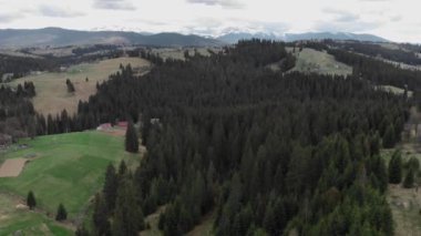 Vahşi doğa. Karda güzel dağ zirveleri. Karpatlar. Yeşil orman ve tepeler