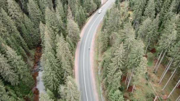 Travel adventures. Cycling. Cyclist riding bicycle on mountain road. Vacation. Journey — Stock Video