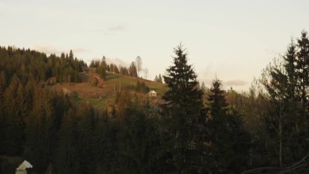 Berge und Kiefernwald mit Hügeln. Sonnenuntergang in den Bergen. Karpaten — Stockvideo