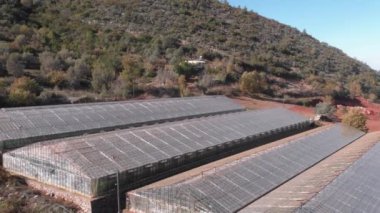 Sera binası. Modern ekolojik çiftlikte taze sebze ve meyve yetiştiriyoruz.