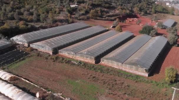 Agriculture industry. Industrial agricultural greenhouses for growing vegetables — Video Stock