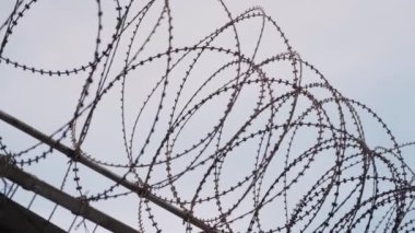 Metal fence with sharp barbed wire against blue sky. Restricted area. Razor wire on top of fence