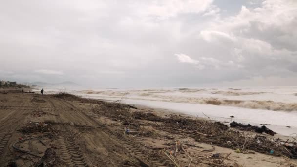 Garbage washed up on sea shore after tropical storm. Sandy beach after big storm — Vídeo de stock