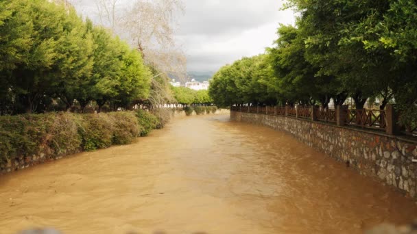 Global damage environmental. Brown water rushes in muddy dirty river after rain — Stock video