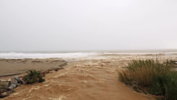 Muddy river with brown dirty water with garbage flows into sea after big storm in mountains — Vídeo de stock