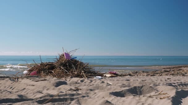 Basura, basura plástica y escombros de árboles que yacen en la playa de arena después de una poderosa tormenta — Vídeo de stock